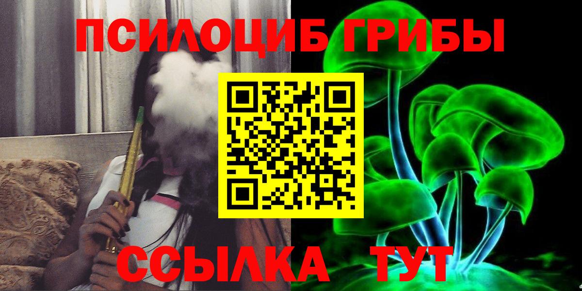 Псилоцибиновые грибы Psilocybe Майский