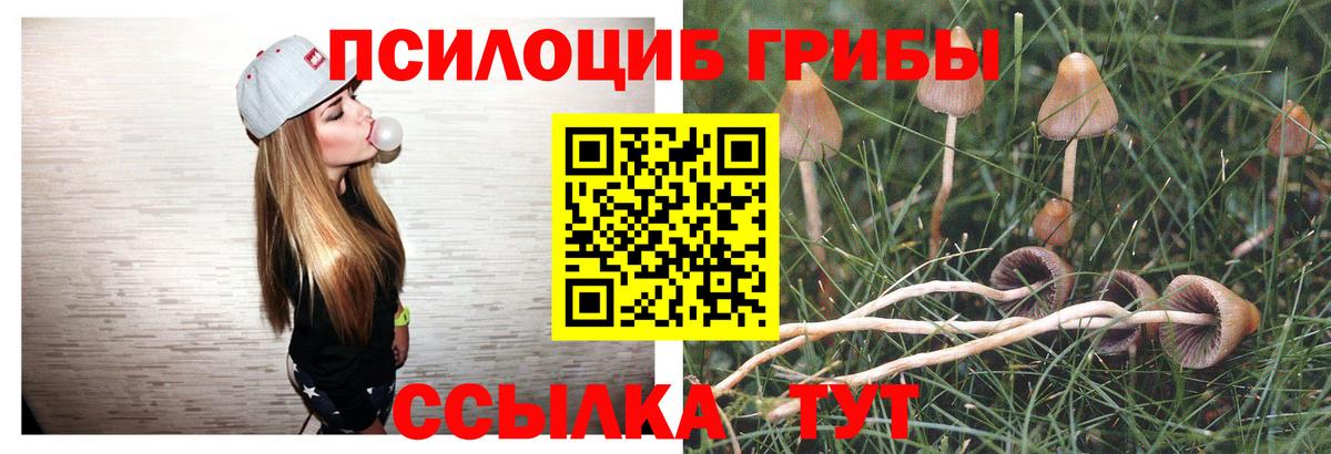 Псилоцибиновые грибы Psilocybe  Псилоцибиновые грибы ЛСД  Вход с VPN  Майский 